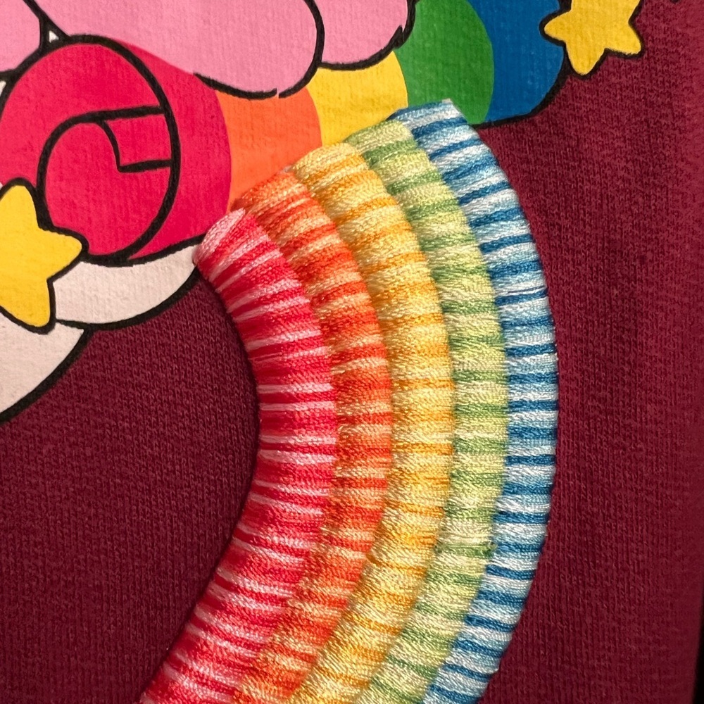 Care Bears Rainbow Embroidered Burgundy Maroon Sweatpants Large - Picture 3 of 6